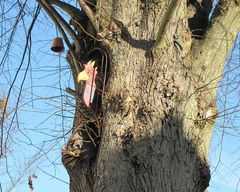 Ein Baum mit Wächter