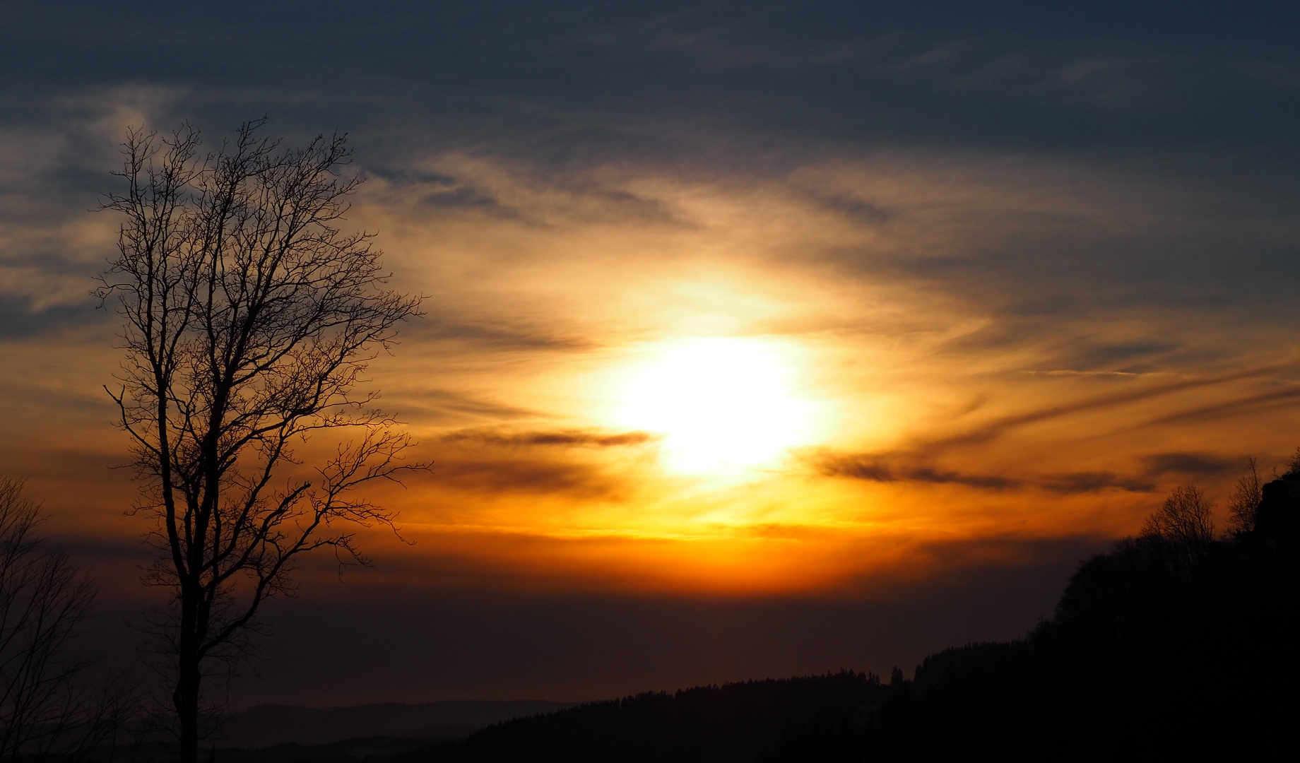 Ein Baum neben dem Sonnenuntergang