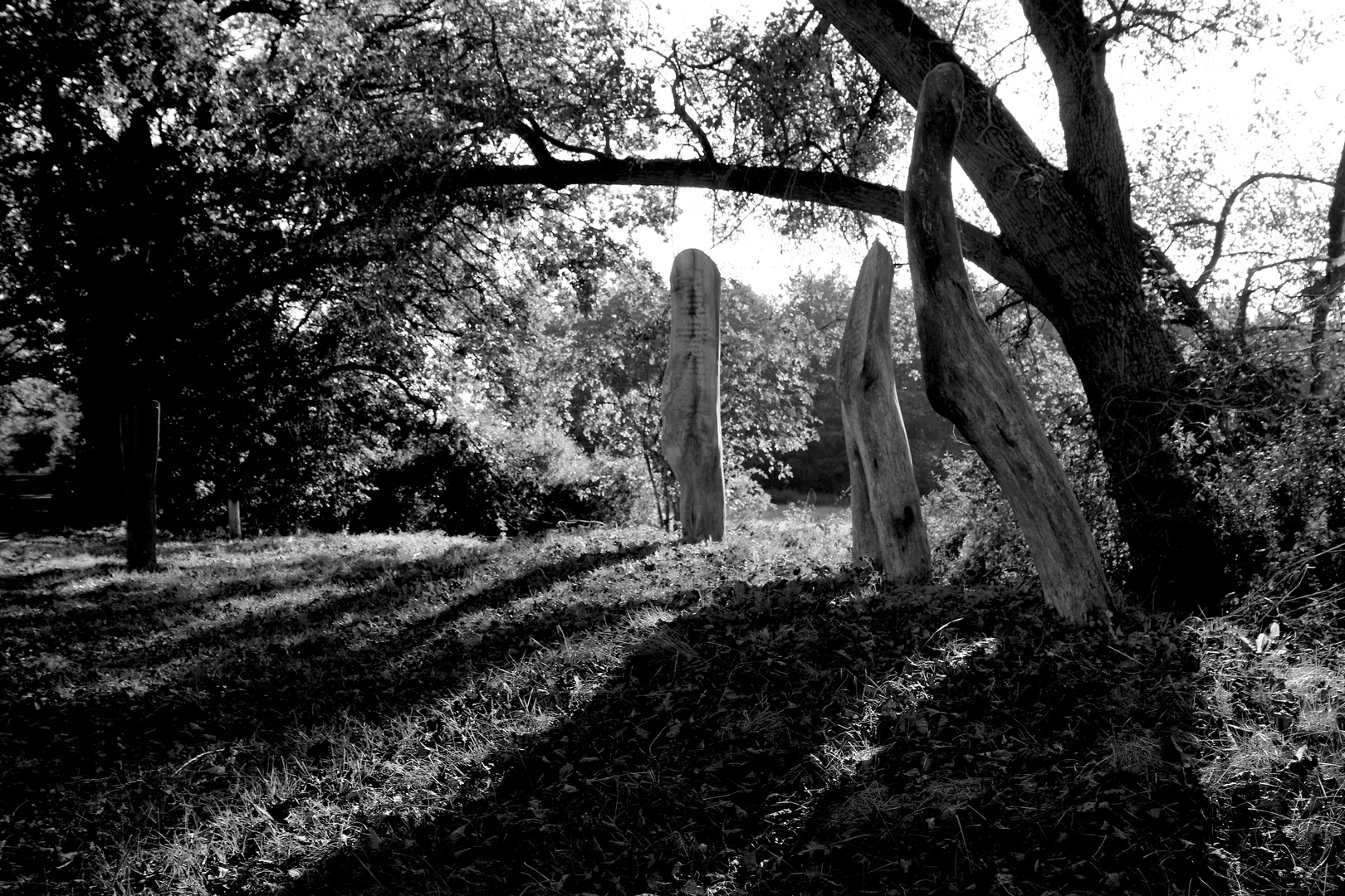 "Ein Baum spricht" * Holz-Skulpturen ...´14