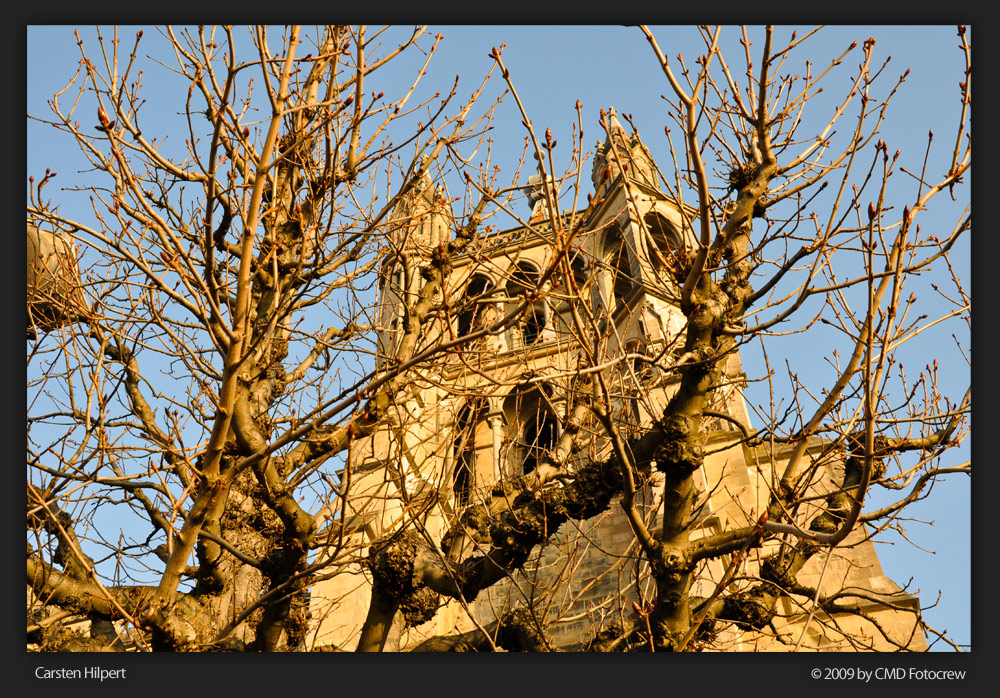 Ein Baum vor Gottes Haus