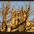 Ein Baum vor Gottes Haus