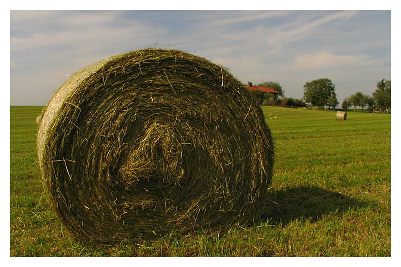 ein bayrischer Heuballen.... fuer