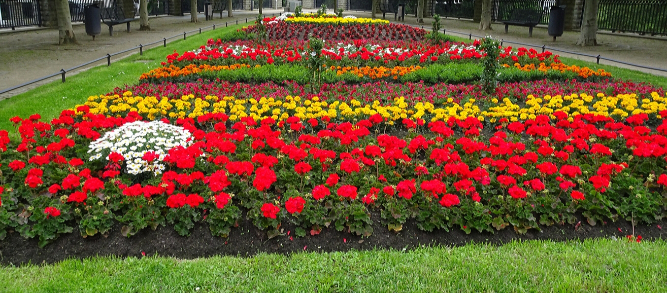 Ein Beet voller Blumen