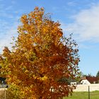 Ein Beinahe Rückblick auf den Herbst