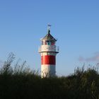 Ein belarusischer Protest in Dänemark