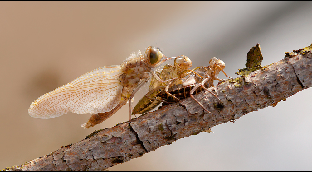 ein beliebter platz