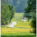 ein beliebter Spaziergang