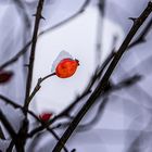 Ein Berg aus Schnee