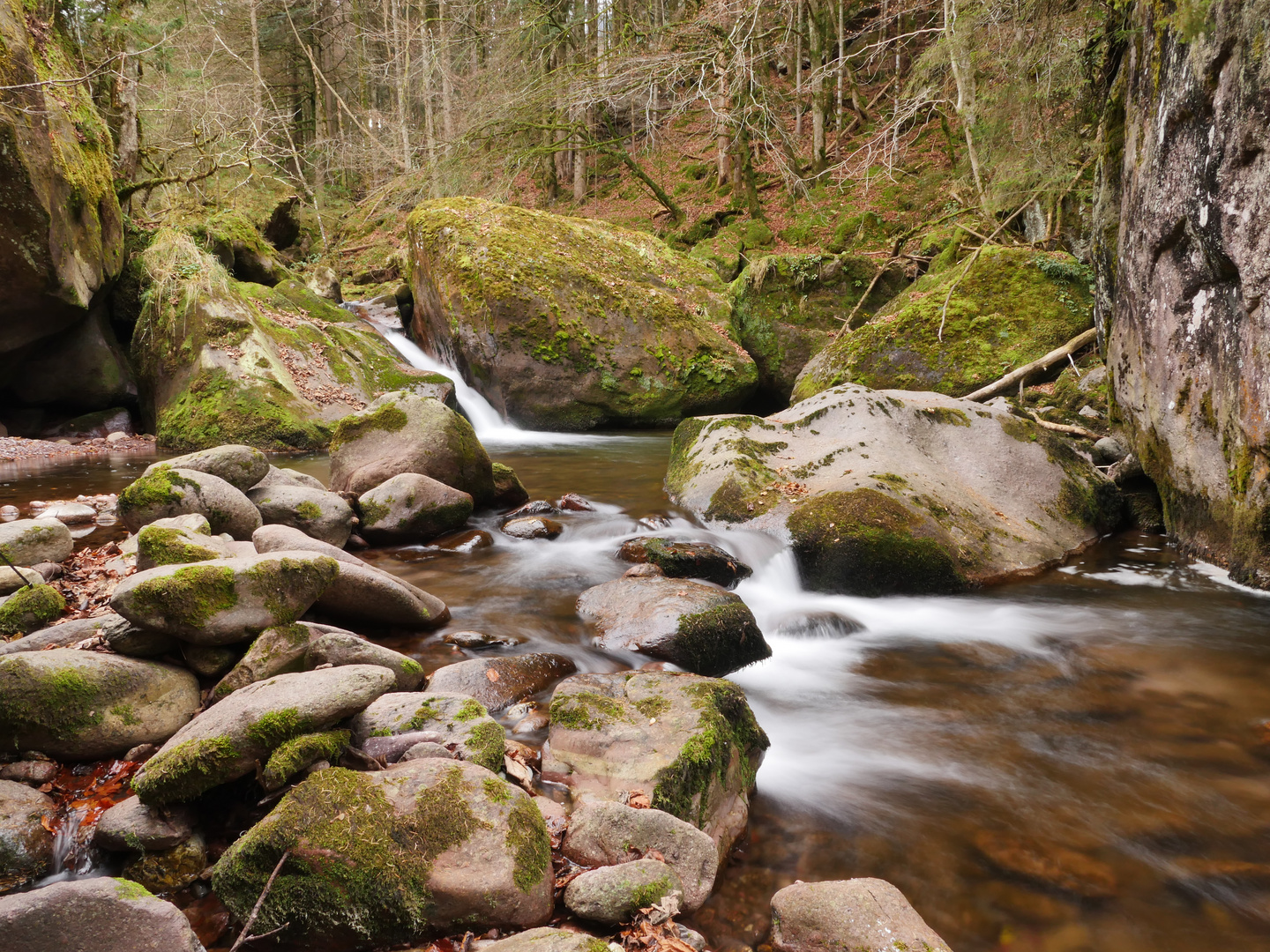 Ein Bergbachtobel am Walensee