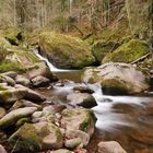 Ein Bergbachtobel am Walensee