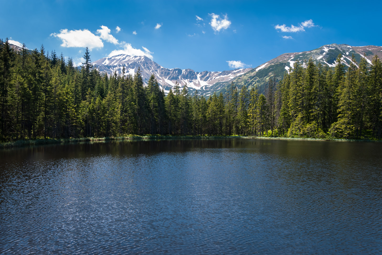 Ein Bergsee in der Hohen Tatra