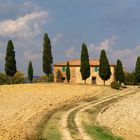 Ein berühmtes Fotomotiv in Pienza