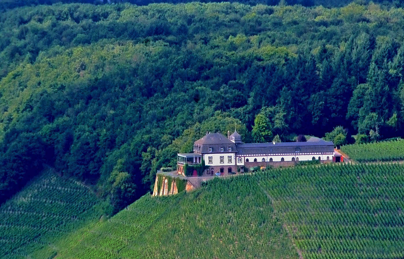 Ein bescheidenes kleines Wochenendhaus am Wald mit Weinbergen ...