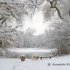 Ein besinnliches Weihnachtsfest