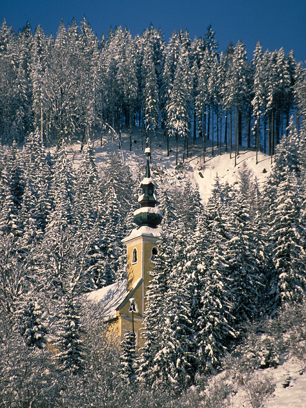 Ein besinnliches Weihnachtsfest