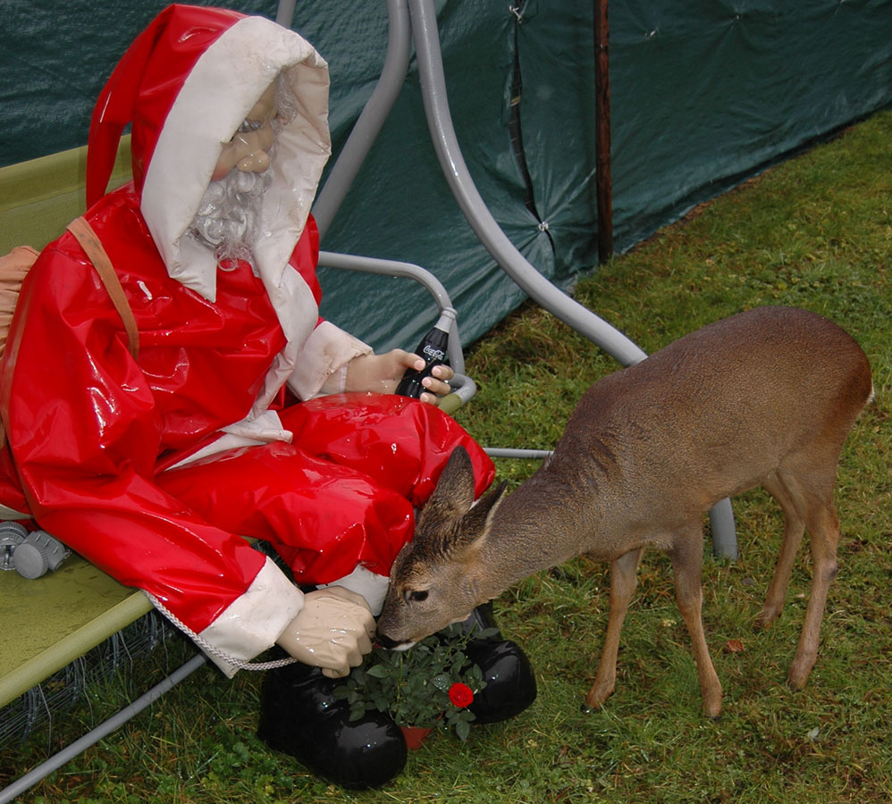 Ein besinnliches Weihnachtsfest und ein gutes, neues Jahr