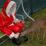 Ein besinnliches Weihnachtsfest und ein gutes, neues Jahr