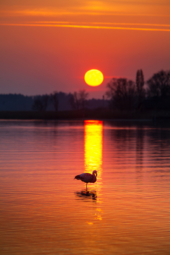 Ein besonderer Augenblick