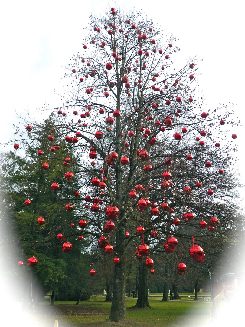 ein besonderer Christbaum