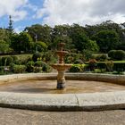 ein besonderer Garten