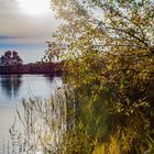 Ein besonderer Herbst