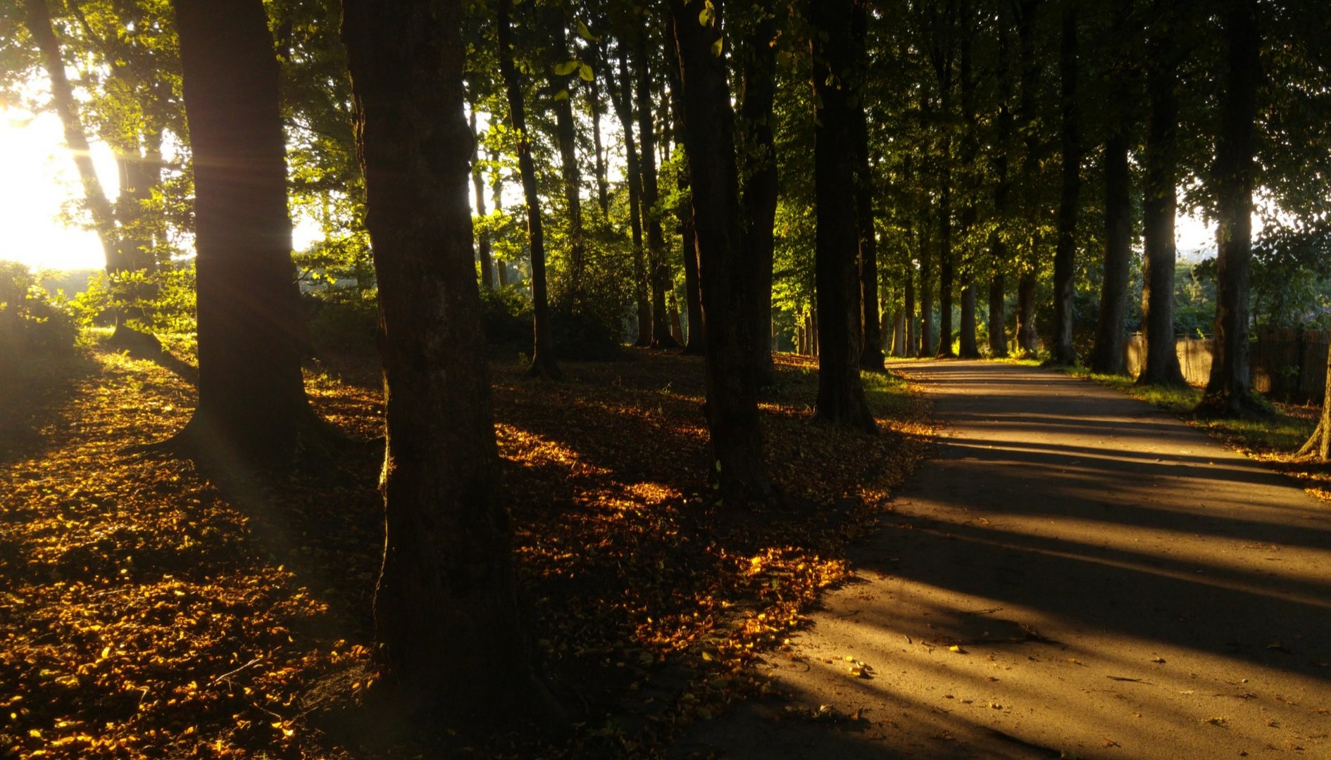 Ein besonderer Park, irgendwo in NRW