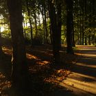 Ein besonderer Park, irgendwo in NRW