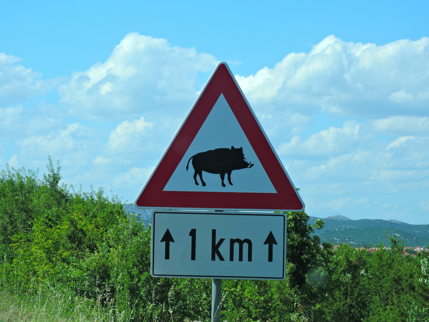 Ein besonderes Schild in Kroatien -Vorsicht Wildschweine