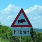 Ein besonderes Schild in Kroatien -Vorsicht Wildschweine