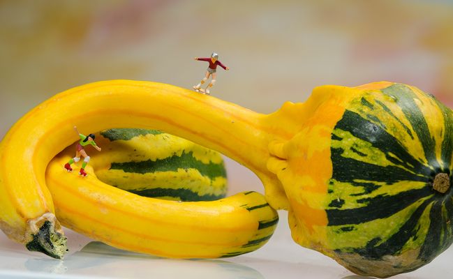 Ein besonderes Vergnügen...