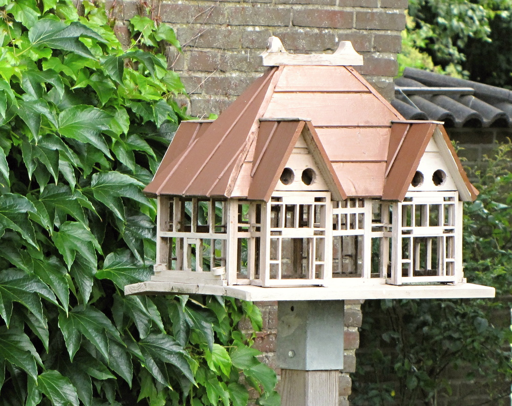  Ein besondesr Vogelhaus mit Nistkasten