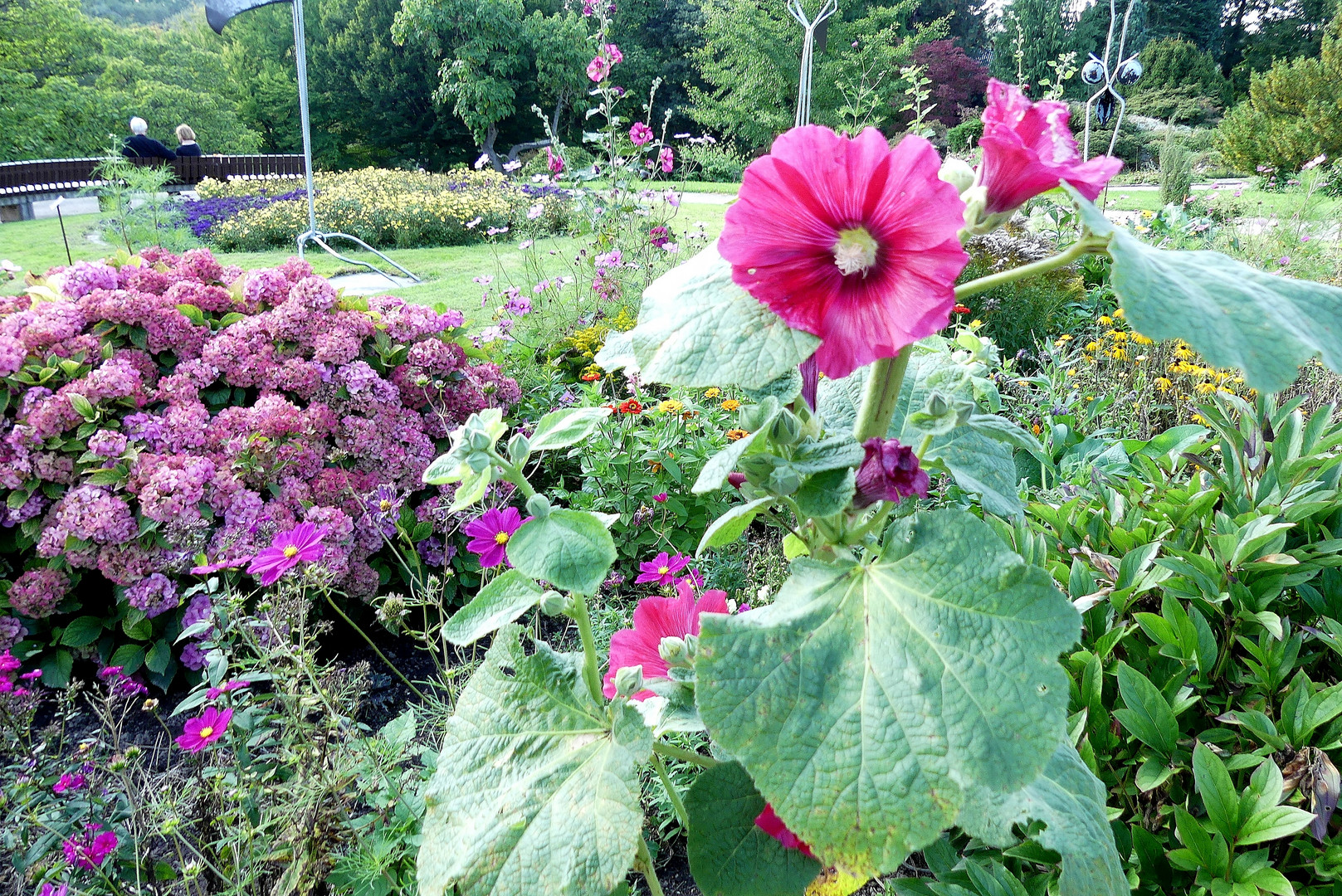 Ein Besuch des Botanischen Gartens in Solingen ...