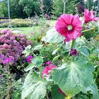 Ein Besuch des Botanischen Gartens in Solingen ...