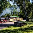 Ein Besuch des Killesberg-Höhenparks