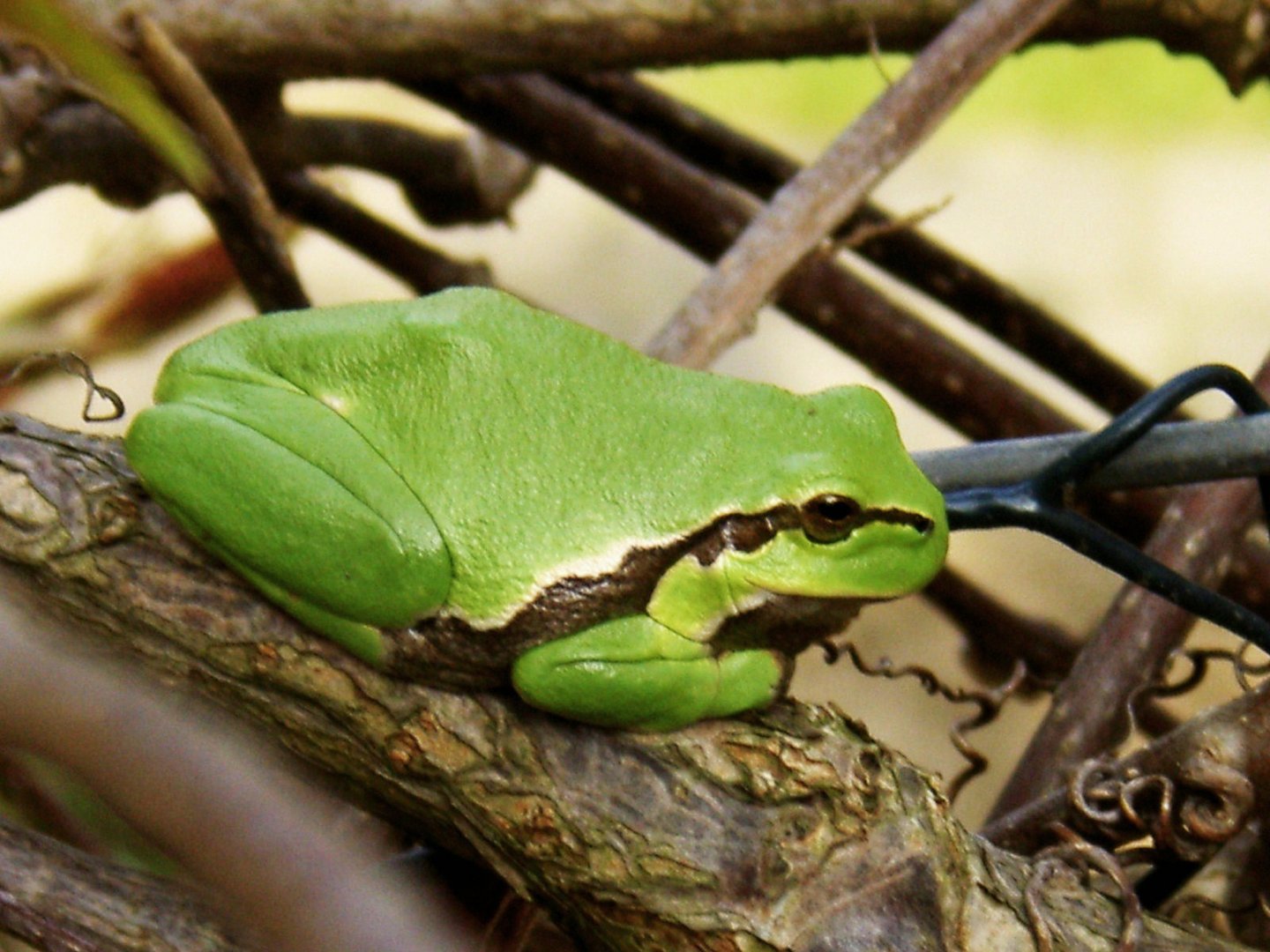 Ein Besuch im Garten...