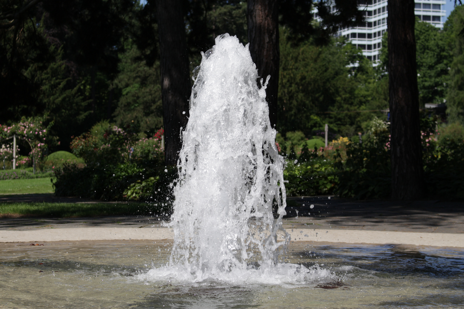 ein Besuch im Park