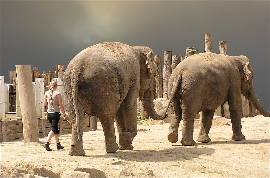 ein besuch im zoo