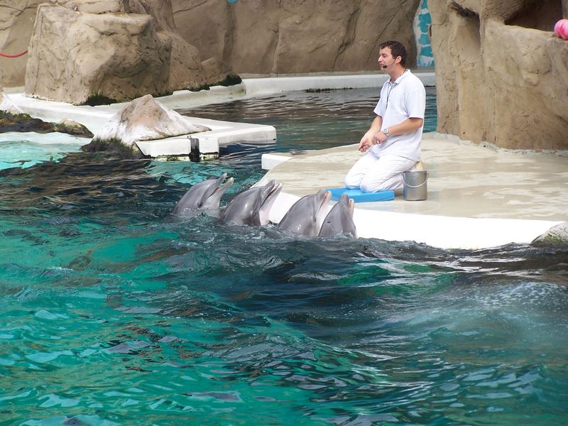 Ein Besuch im Zoo