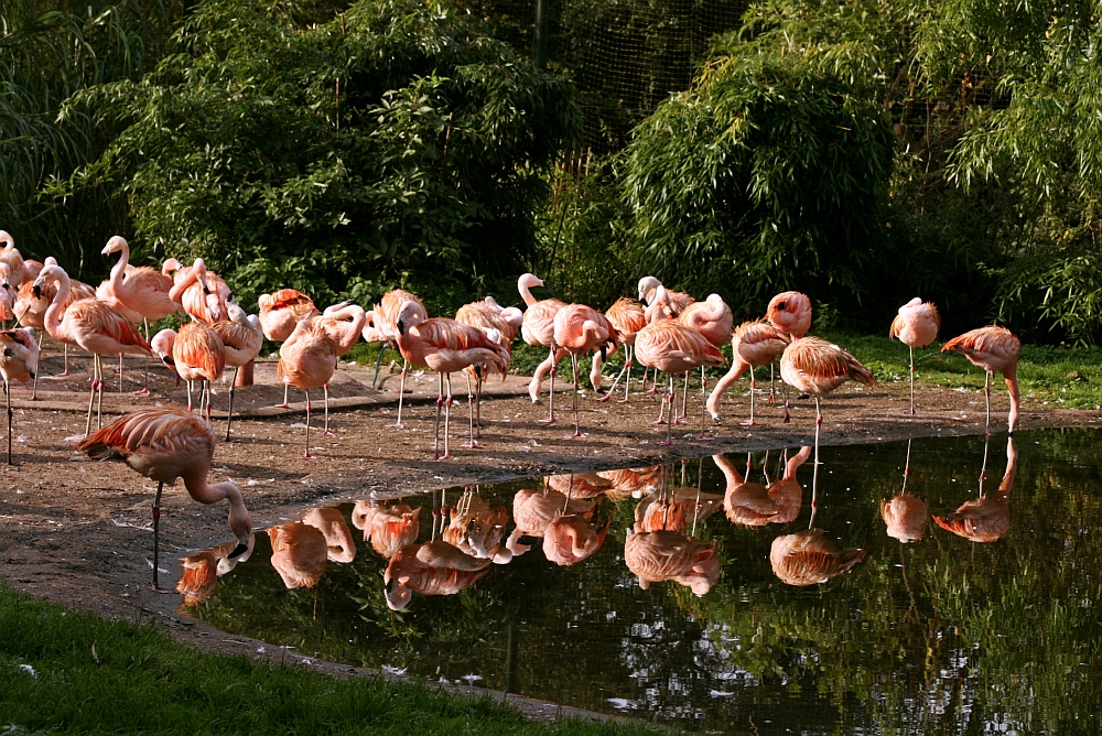 Ein Besuch im Zoo