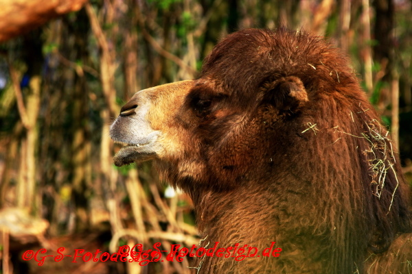 ein Besuch im Zoo