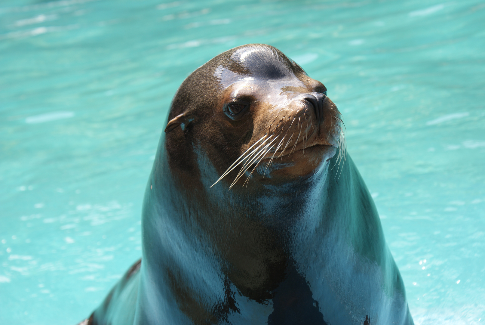 Ein Besuch im Zoo