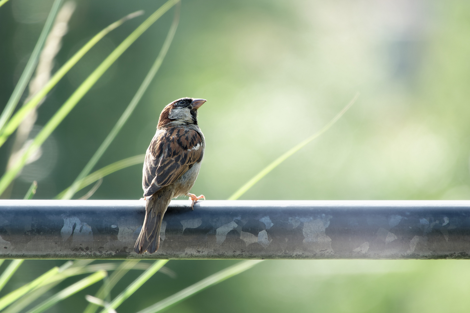 Ein Besuch im Zoo