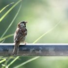 Ein Besuch im Zoo