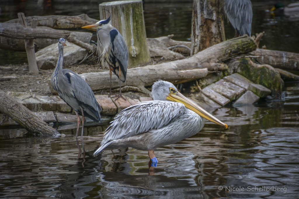 ein Besuch im Zoo