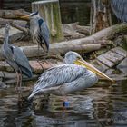 ein Besuch im Zoo