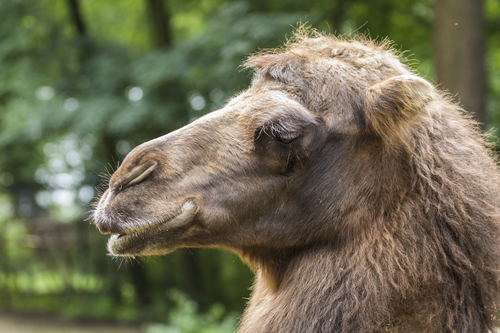 Ein Besuch im Zoo