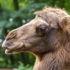 Ein Besuch im Zoo