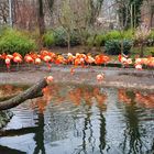 Ein Besuch im Zoo