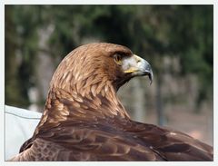 Ein Besuch im Zoo...