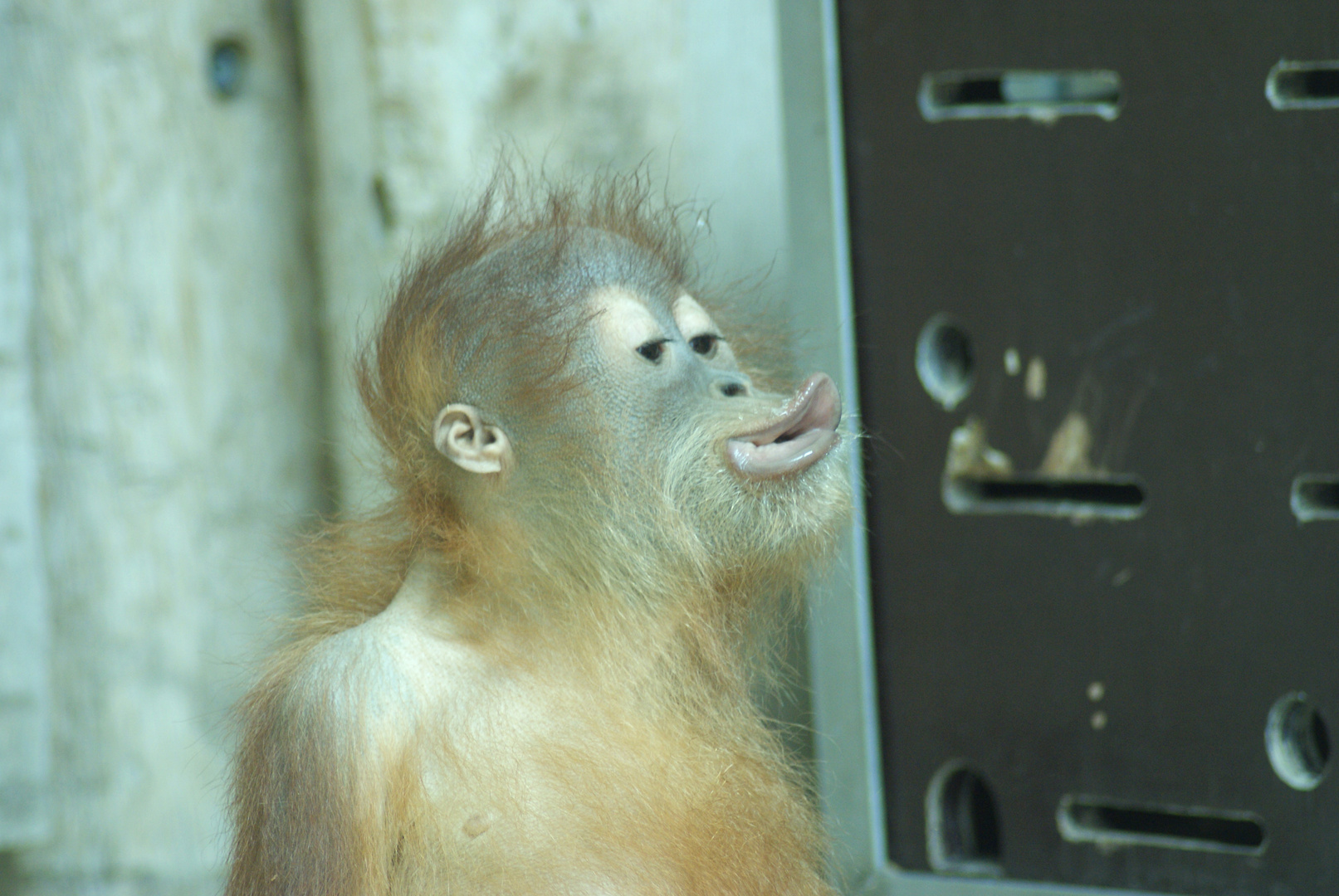 Ein Besuch im Zoo